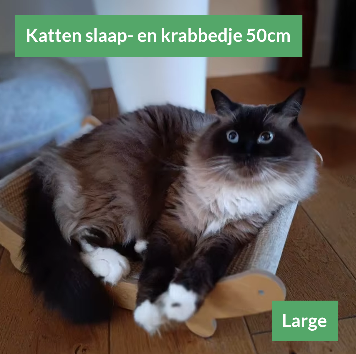 Duurzaam slaapbedje voor katten en kittens