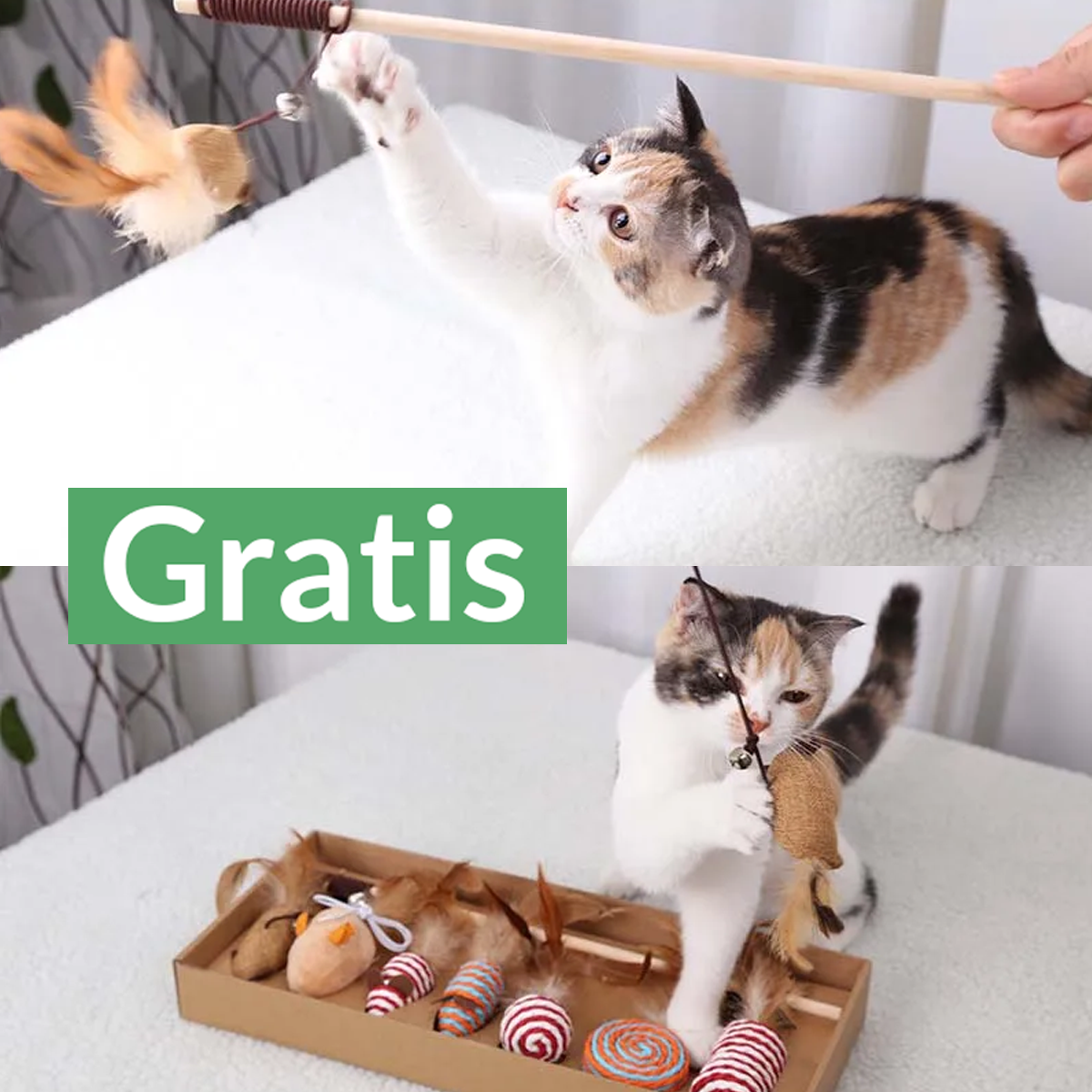 Gratis kittenpakket voor je nieuwe kat (Pakket 1)