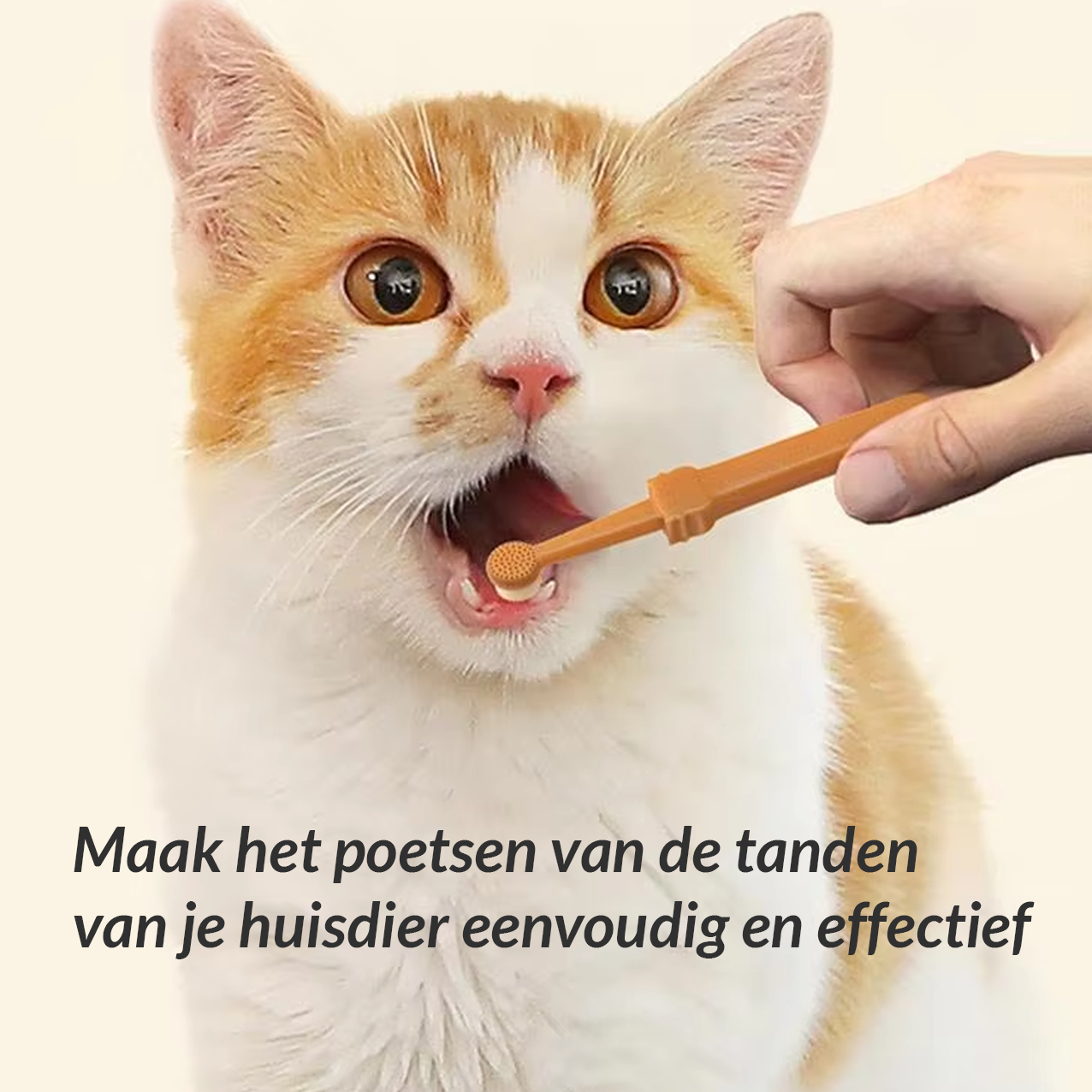 Katten Tandenborstel - De Beste Gebitsverzorging Voor Je Kat