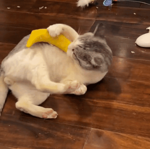 Speelgoed banaan met biologisch kattenkruid