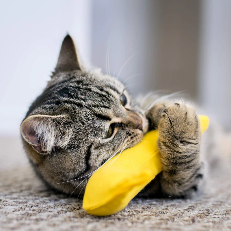 Speelgoed banaan met biologisch kattenkruid