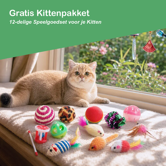 Kat op vensterbank naast gratis kittenpakket met 12 kattenspeeltjes