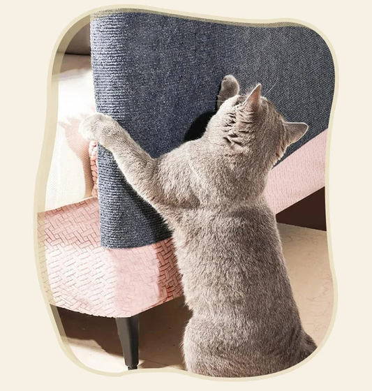 Kat krabt aan een zelfklevende krabmat op een bankleuning
