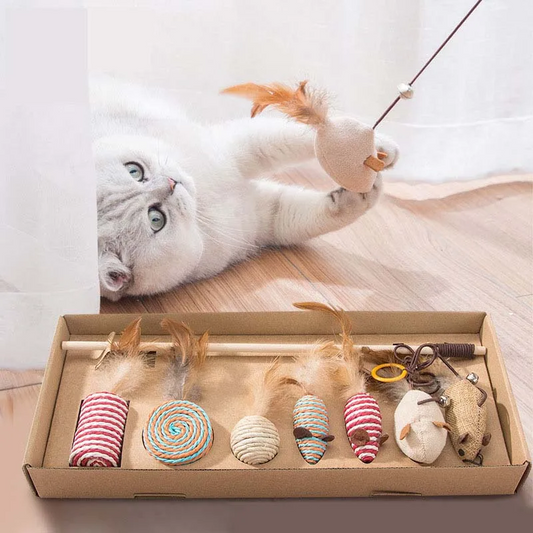 Kat speelt met speeltjes uit de luxe 7-delige speelgoedset in geschenkdoos