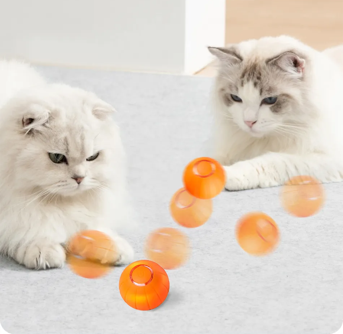 Interactieve speelbal voor katten (V3)