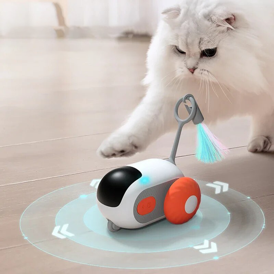 Race&Chase™ - Racewagen voor sportieve katten