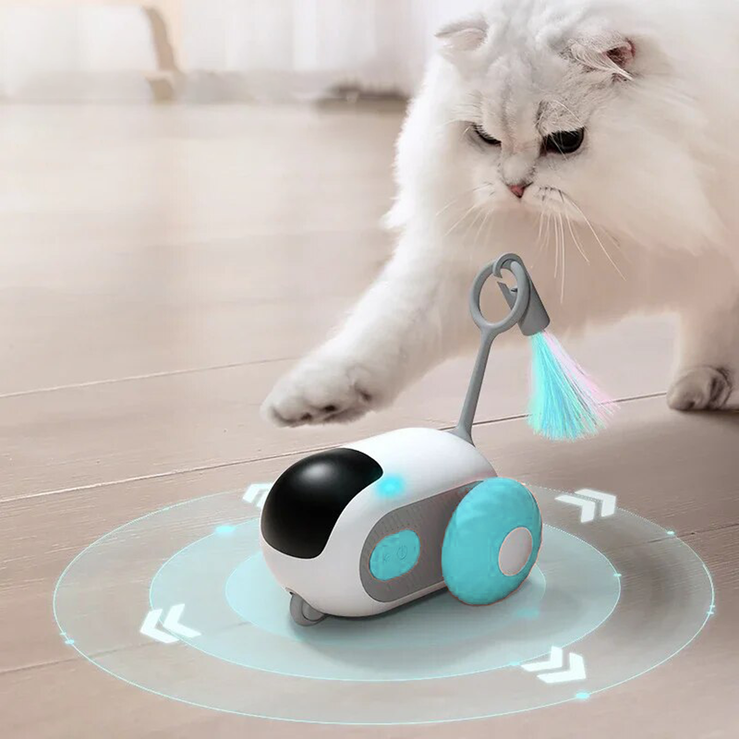 Race&Chase™ - Racewagen voor sportieve katten