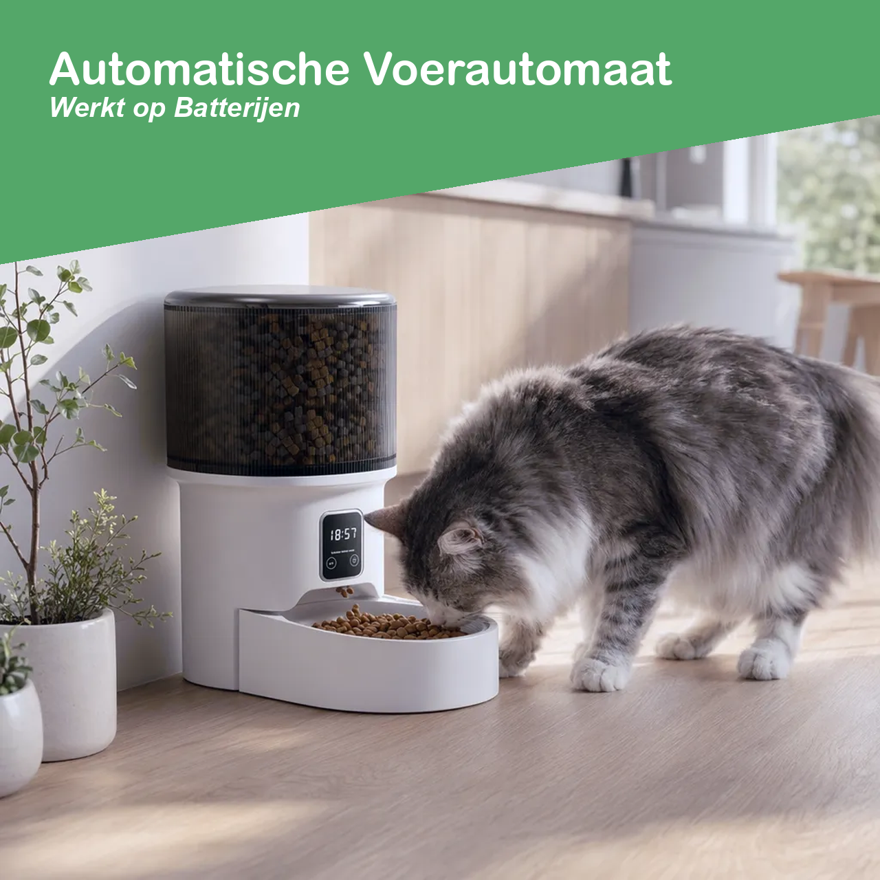 Voerautomaat voor katten die op batterijen werkt, zonder stopcontact