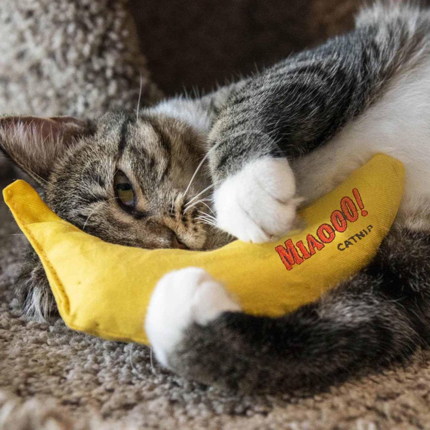 Banaan Met Kattenkruid - Catnip Speeltje voor Katten