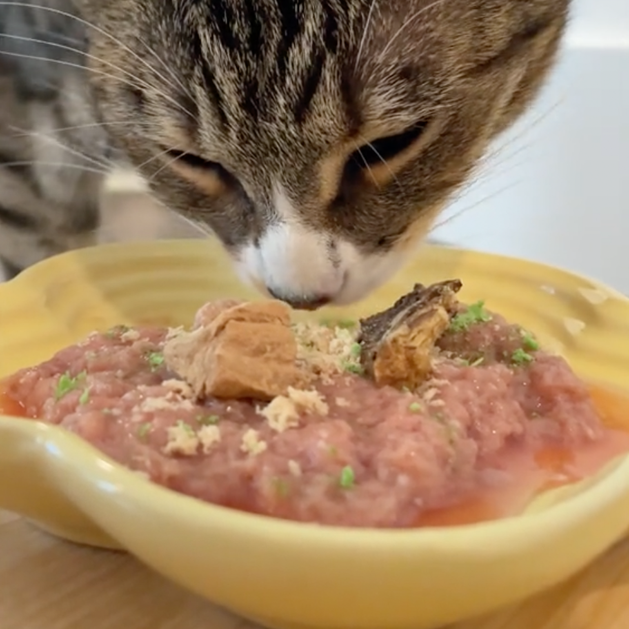 Franse keramische kattenschotel