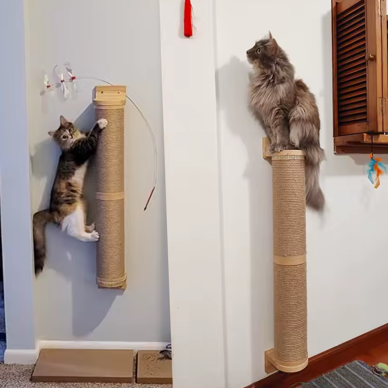 Houten Wandgemonteerde Katten Krabpaal - Ook voor Buiten