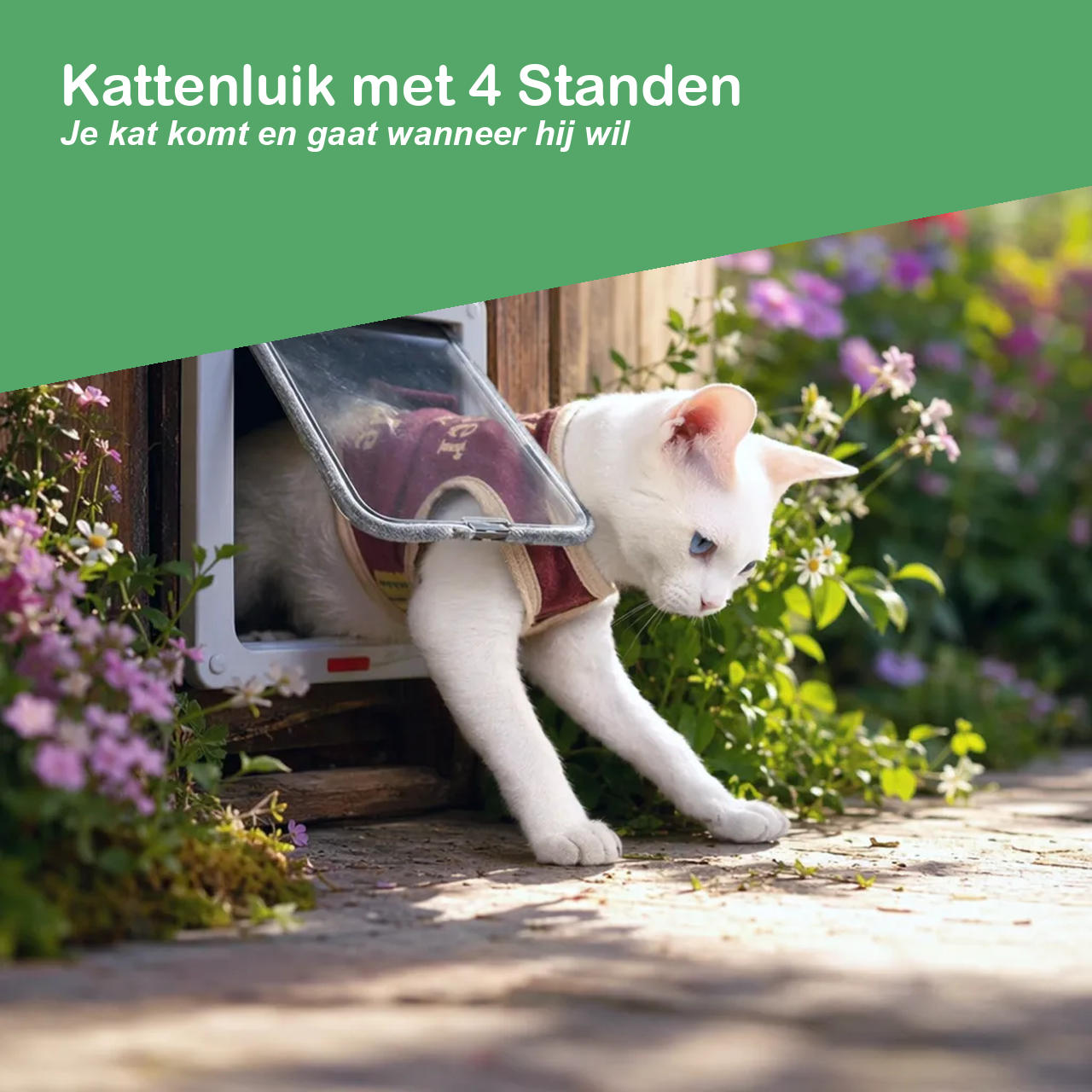 Kattenluik met veiligheidsslot in 4 standen, witte kat loopt door de flap naar de tuin