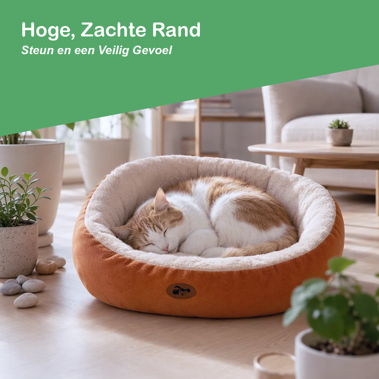 Kattenmand met hoge zachte rand voor steun en geborgenheid