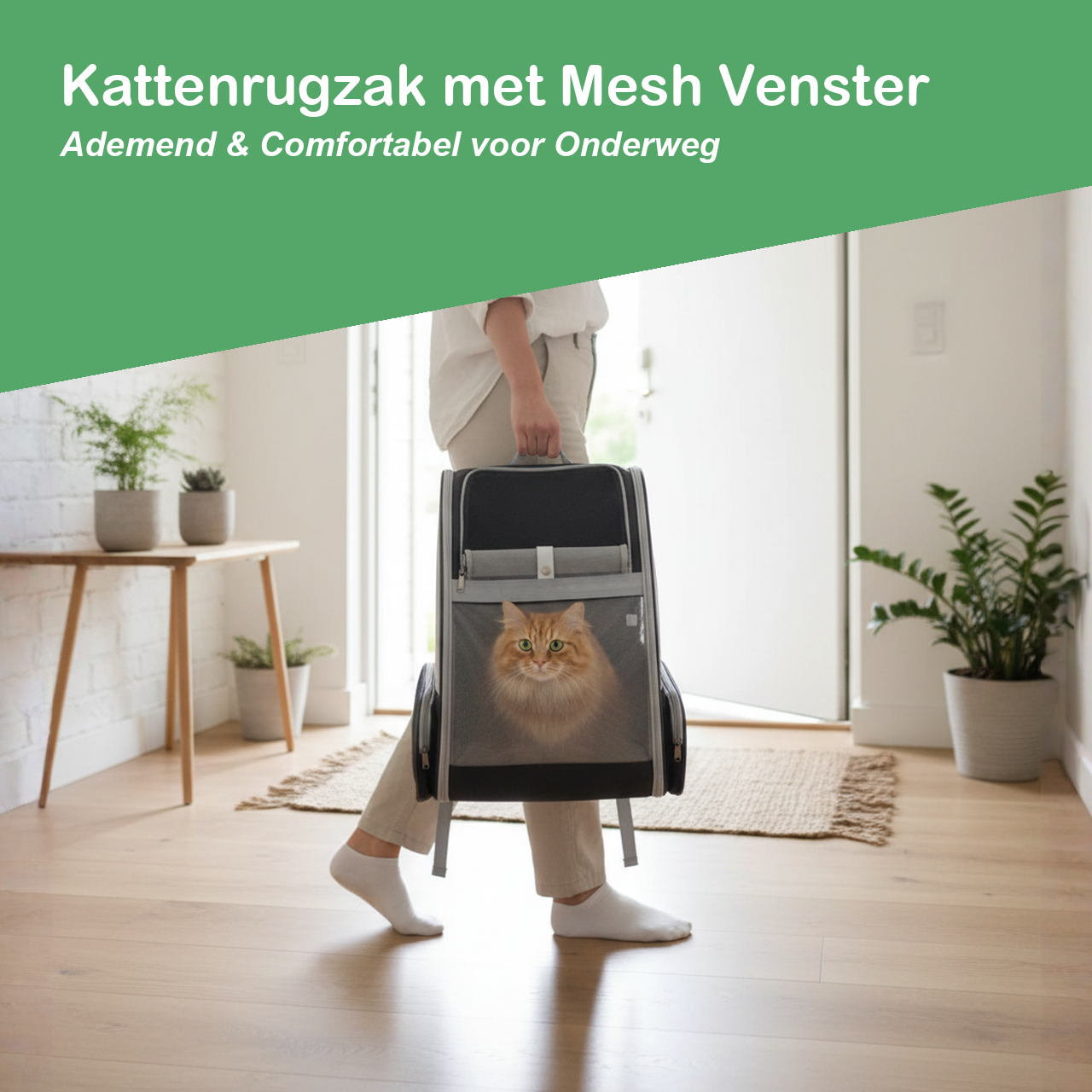 Kattenrugzak met ademend mesh venster, comfortabel voor onderweg