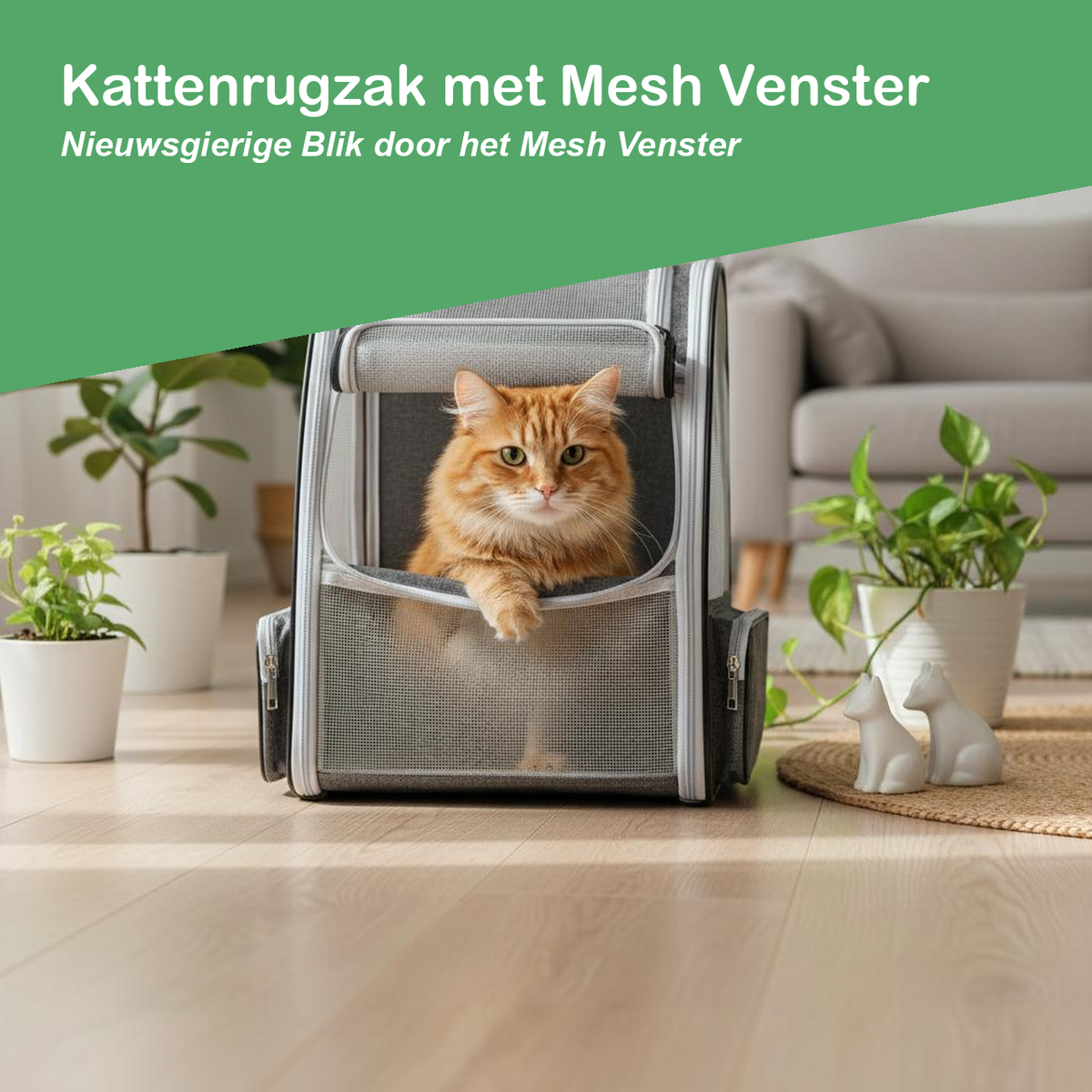 Kat kijkt nieuwsgierig door het geopende mesh venster van de kattenrugzak