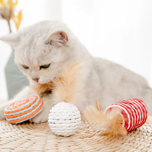 Luxe organische speelgoedset voor speelse Kittens