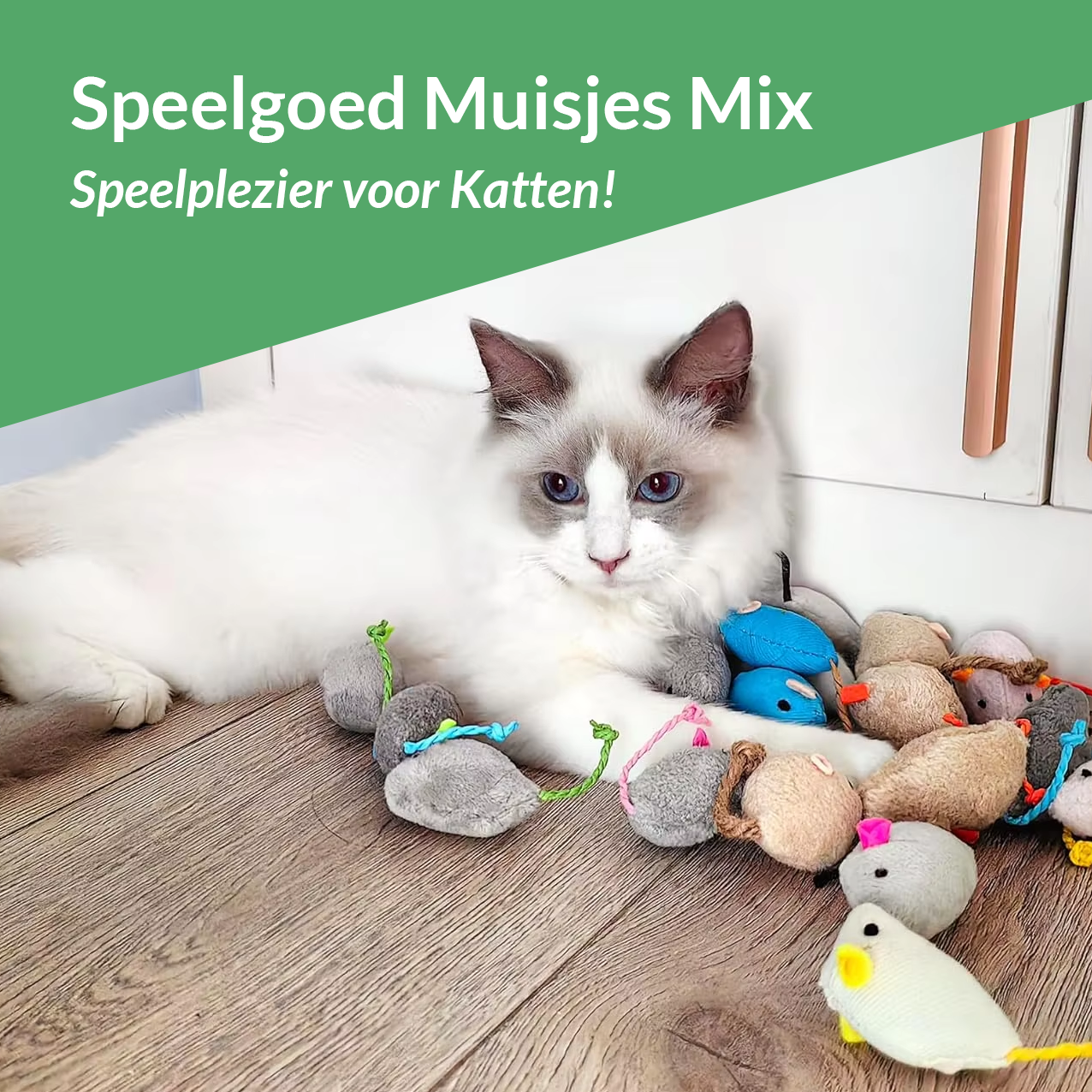 Katten Speelgoed Muisjes