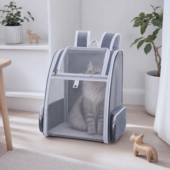 Video van kattenrugzak met mesh venster in gebruik