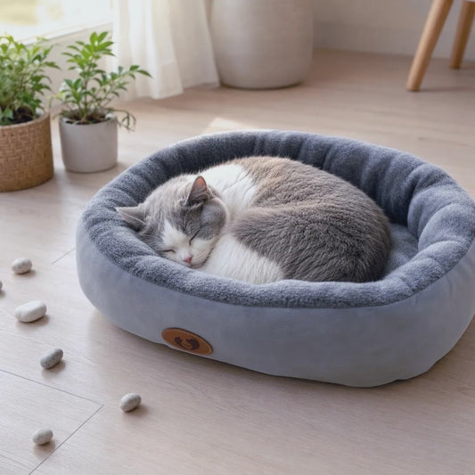 Video van een kat die rust in de pluche kattenmand