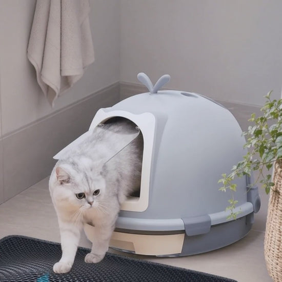Video van dubbellaagse kattenbakmat in gebruik bij de kattenbak