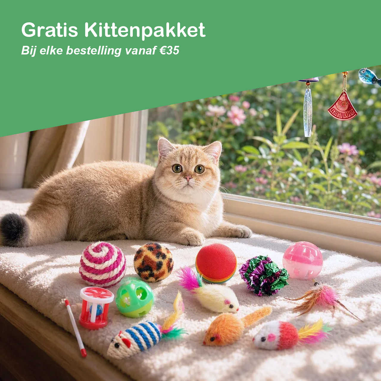 Gratis kittenpakket bij elke bestelling vanaf €35