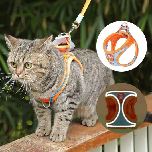 Reflecterend verstelbaar kattentuig met oranje riem