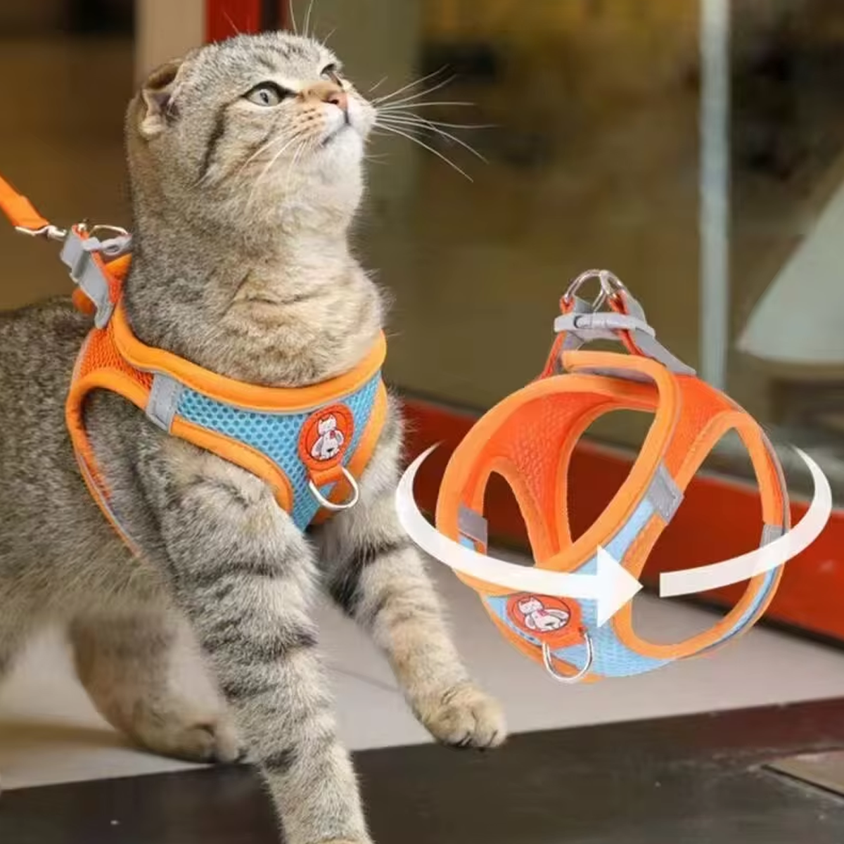 Reflecterend verstelbaar kattentuig met oranje riem