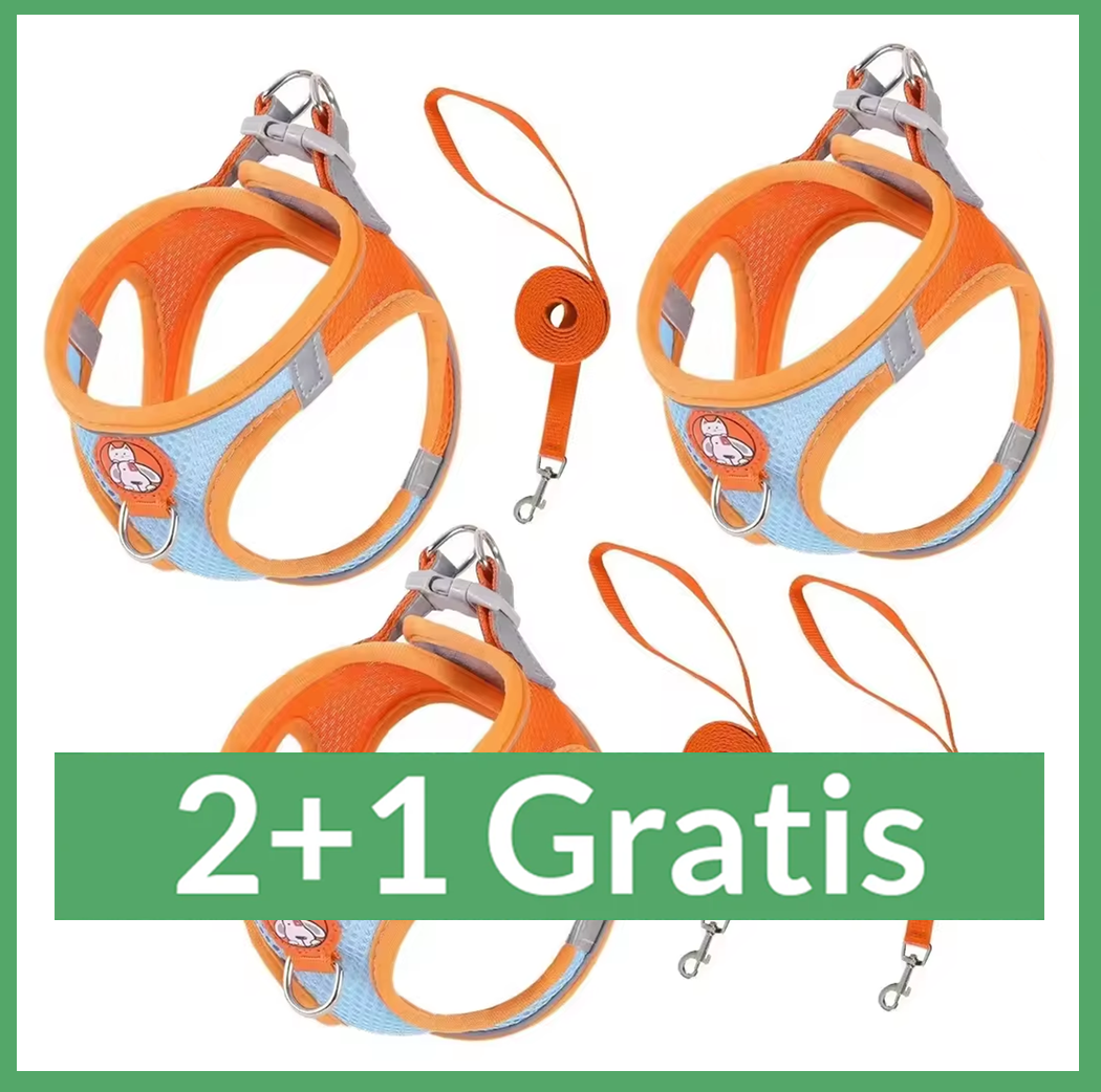 Reflecterend verstelbaar kattentuig met oranje riem