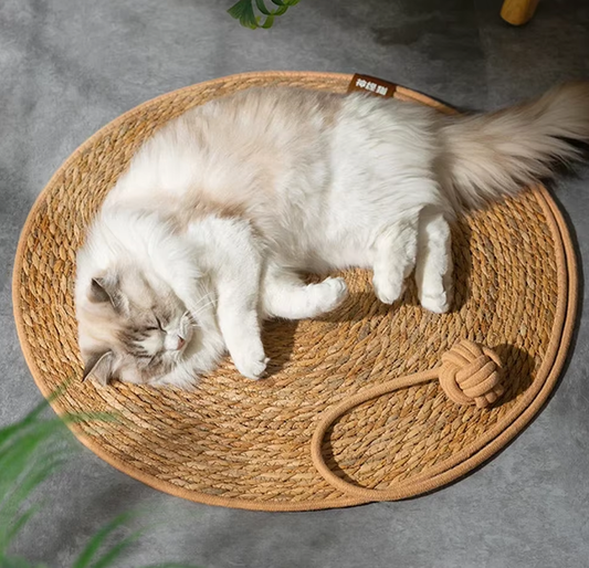 Ronde Krabmat voor Katten – Bescherm je Meubels met Stijl
