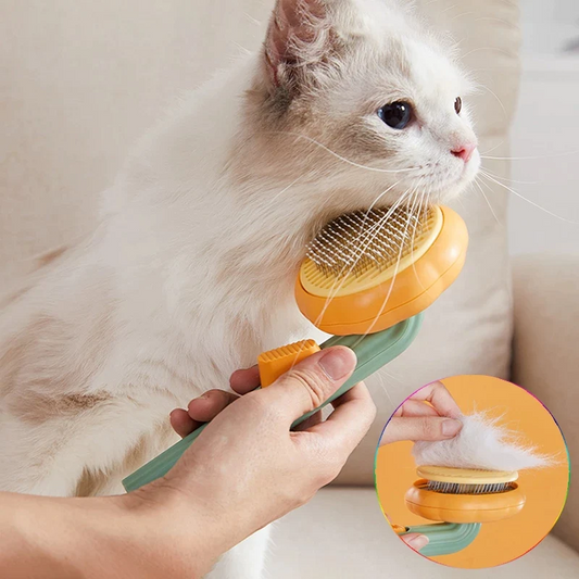 Massageborstel voor katten
